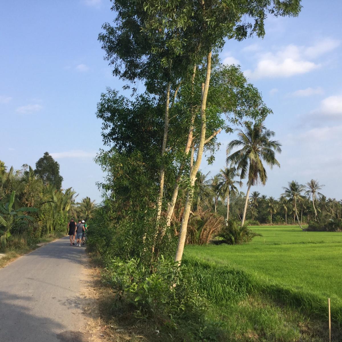 upload/images/destination/mekong delta/explore Mekong (1).JPG